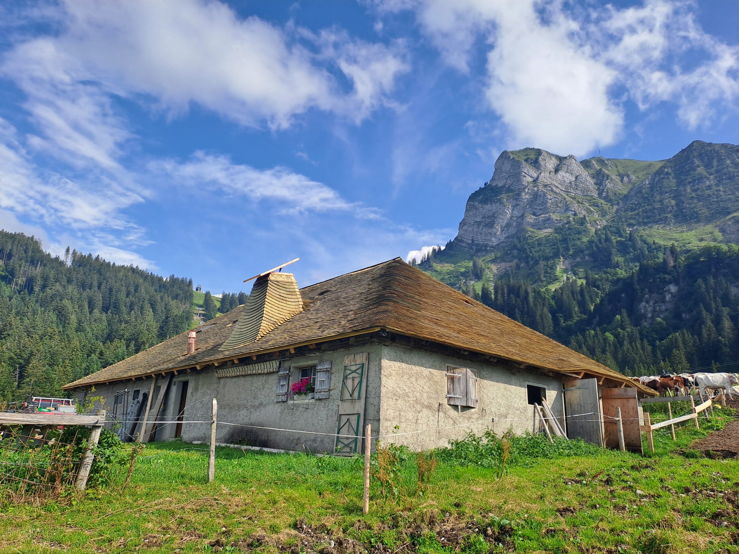 Rénovation de toiture en tavaillons, Les Joux devant, Moléson – Tristan Ropraz Tavillonneur